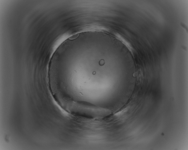 X0000095691103200801081243
