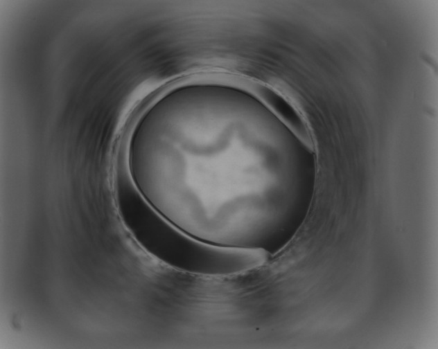 X0000095691104200801081243