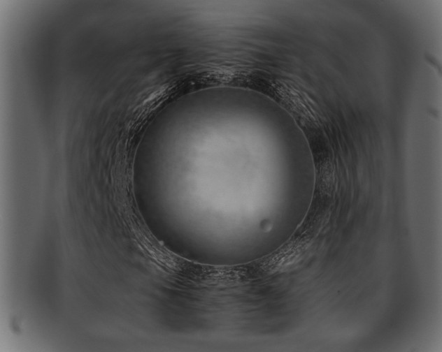 X0000095691105200801081242