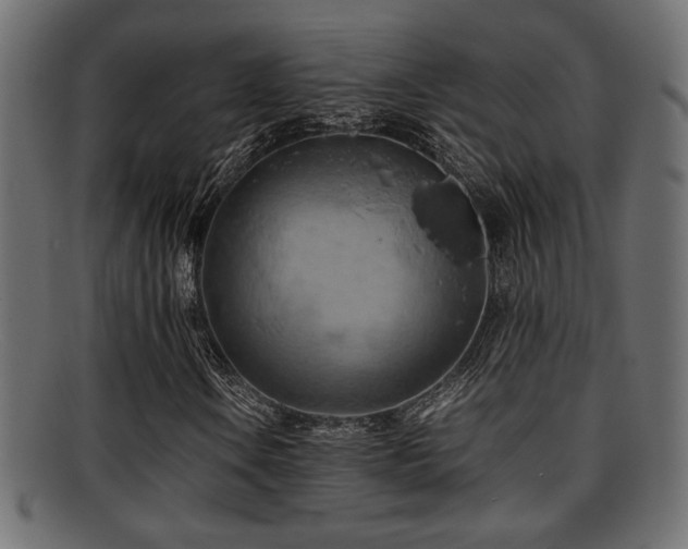 X0000095691106200801081242