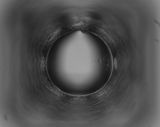 X0000095691107200801081242