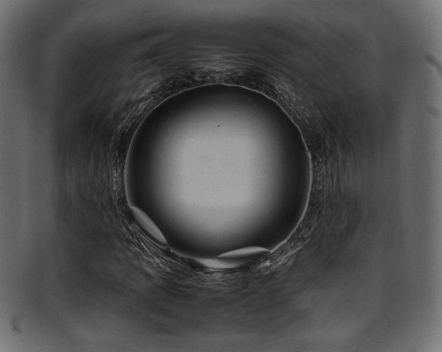 X0000095691109200801081242