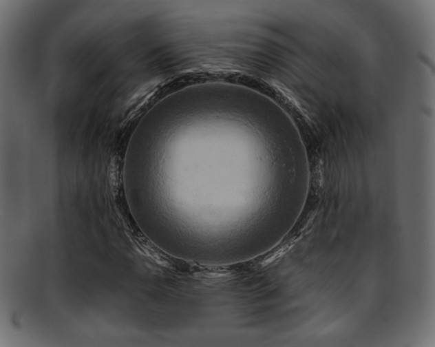 X0000095691110200801081242