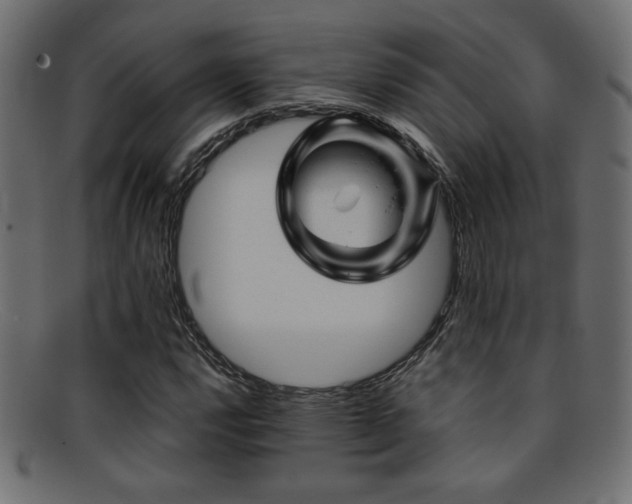 X0000095691112200801081242