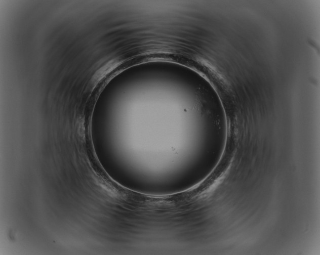 X0000095691113200801081242