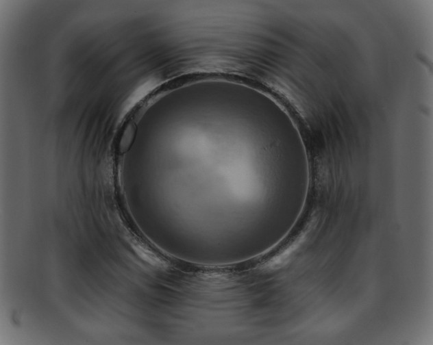 X0000095691114200801081242