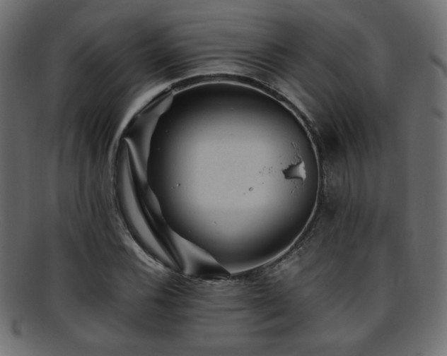 X0000095691116200801081242