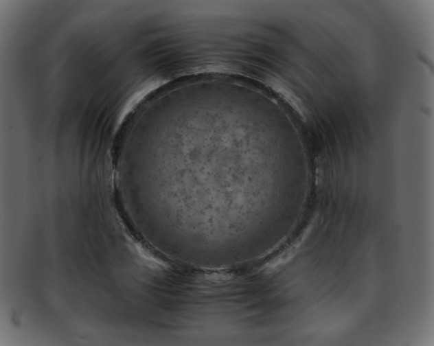 X0000095691117200801081242