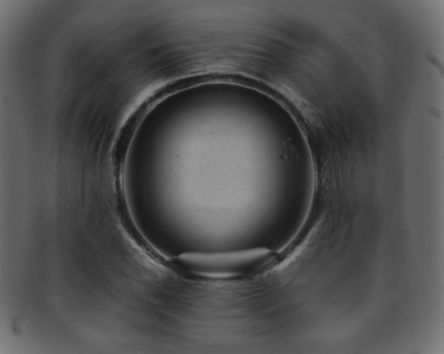 X0000095691118200801081242