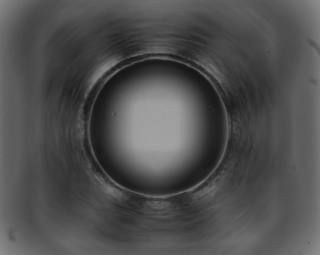 X0000095691119200801081242