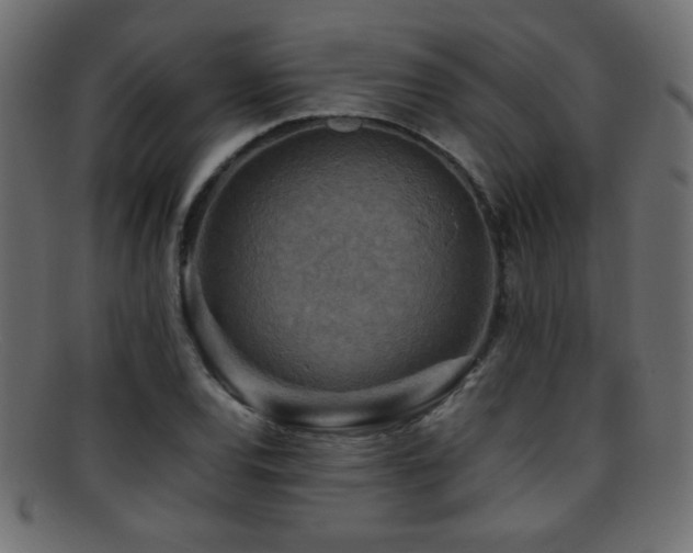 X0000095691120200801081242