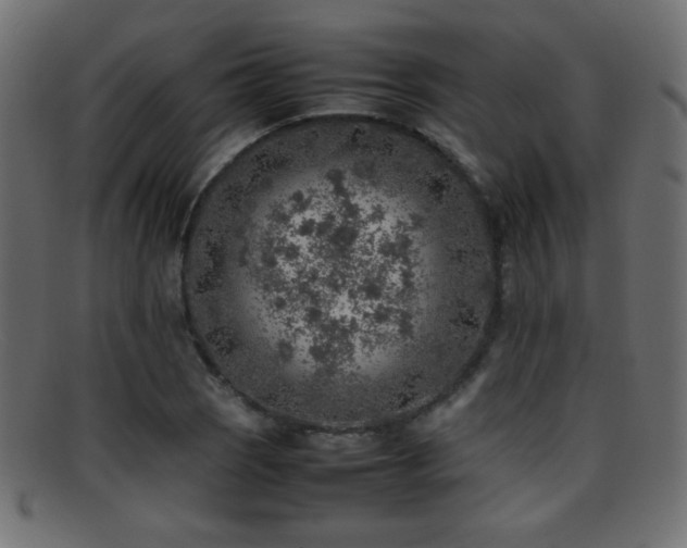 X0000095691121200801081242