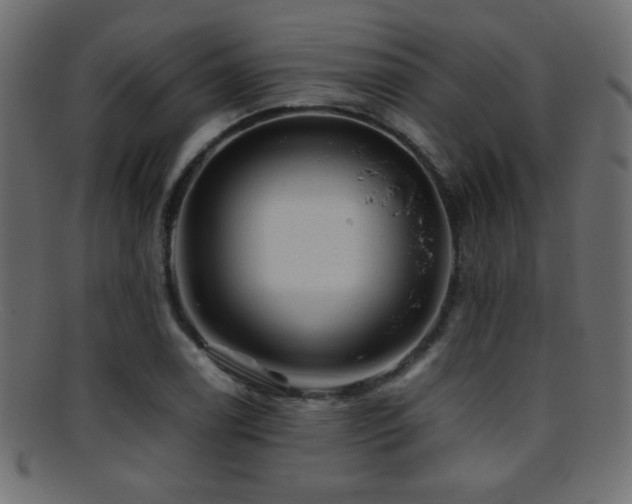 X0000095691122200801081242