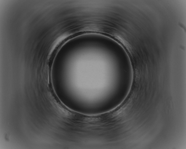 X0000095691123200801081242