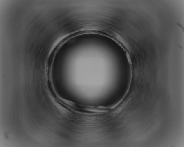 X0000095691124200801081242