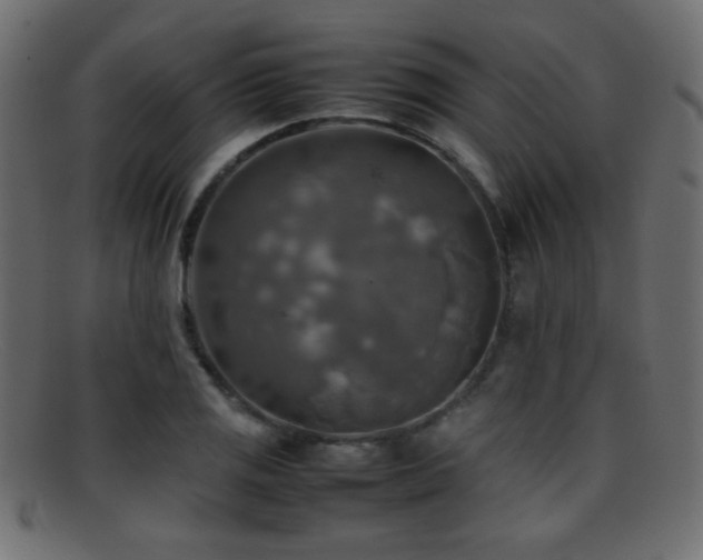X0000095691125200801081242