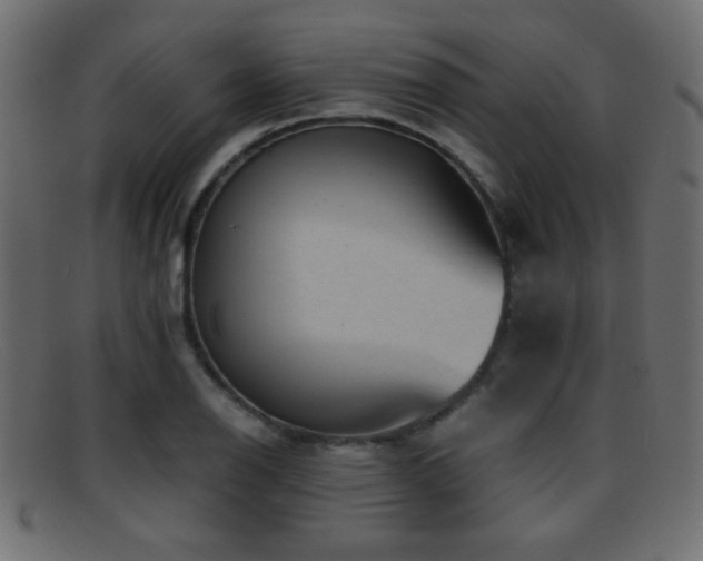 X0000095691126200801081242