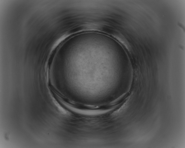 X0000095691127200801081242