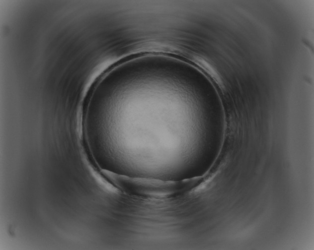 X0000095691128200801081242