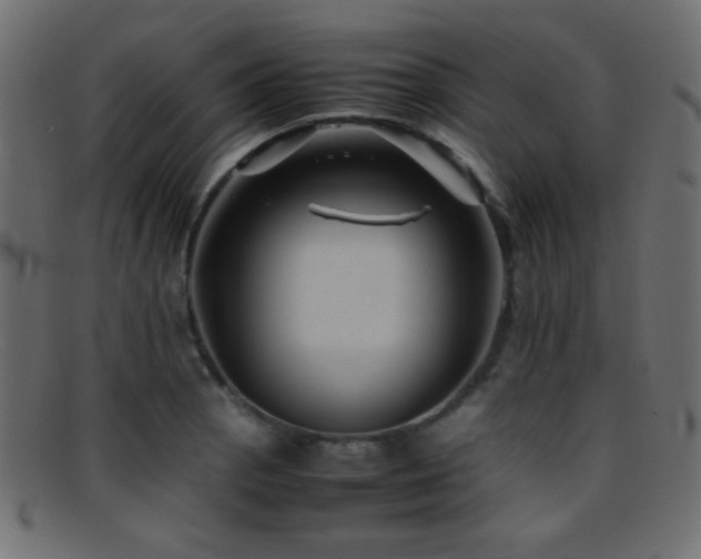 X0000095691129200801081242