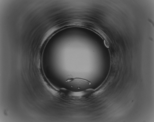 X0000095691131200801081242