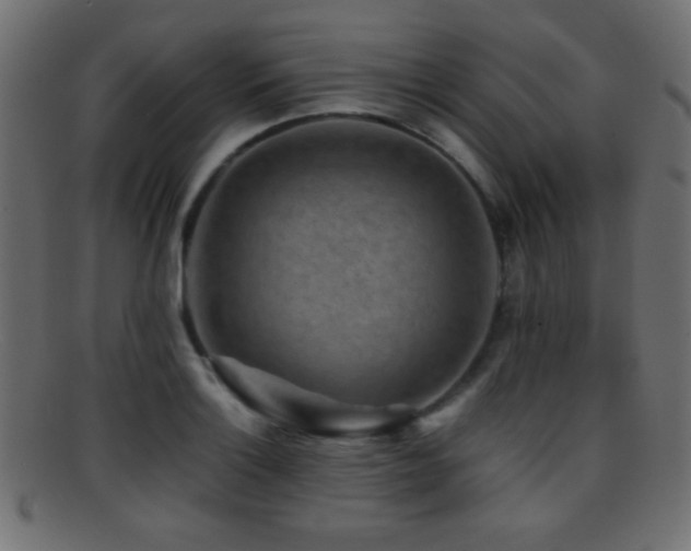 X0000095691132200801081242