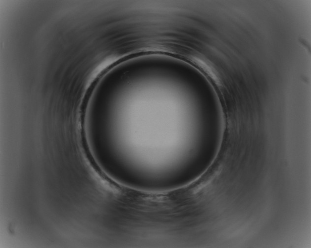 X0000095691133200801081242