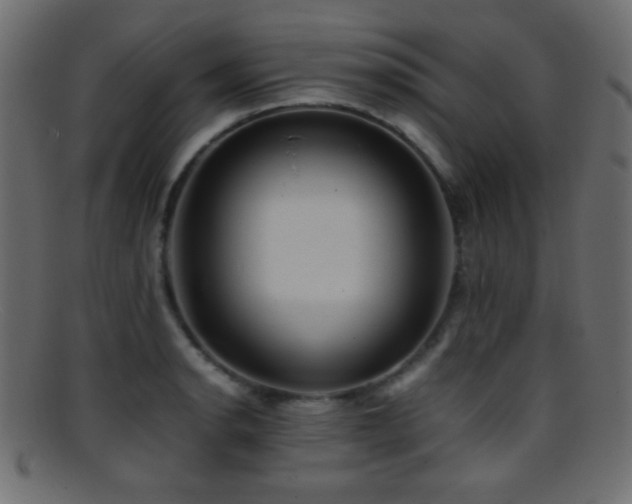 X0000095691134200801081242