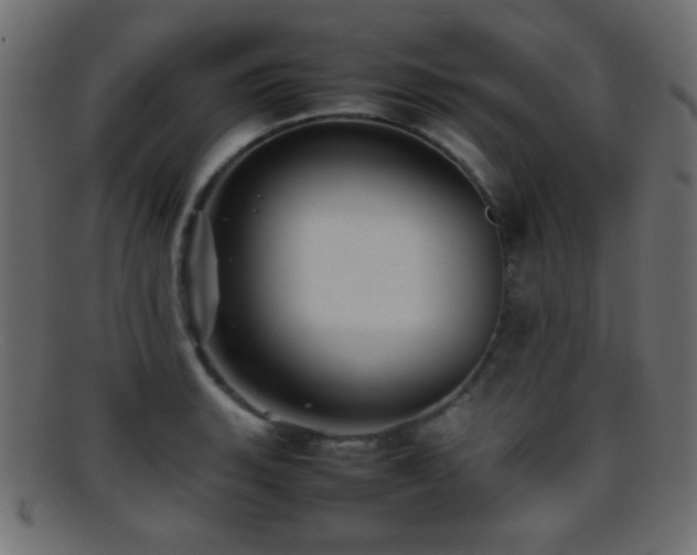 X0000095691135200801081242
