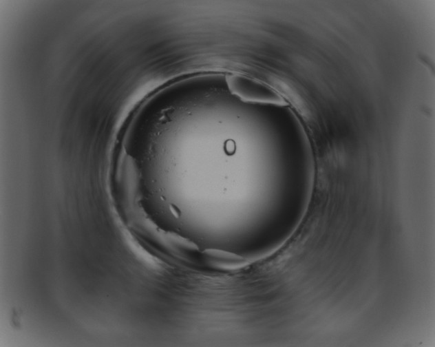 X0000095691136200801081242