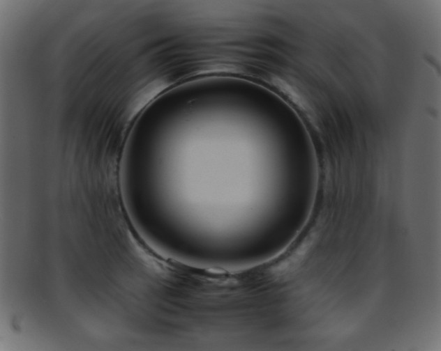 X0000095691137200801081242