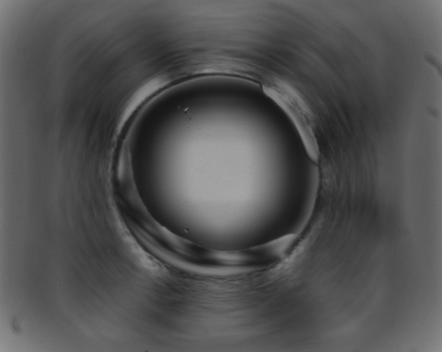 X0000095691138200801081242