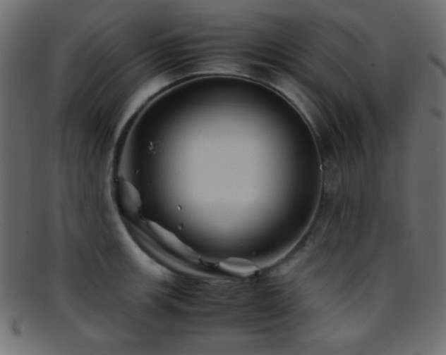X0000095691139200801081242