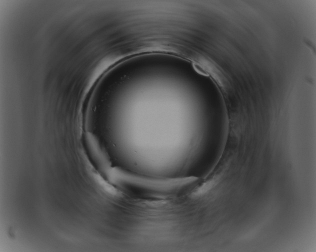 X0000095691140200801081242