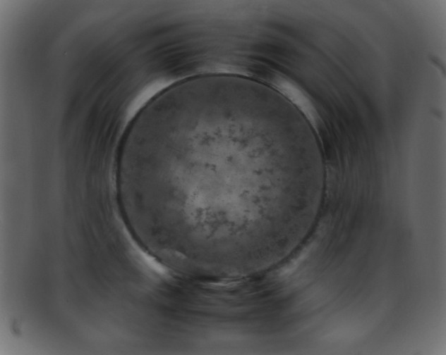 X0000095691141200801081242