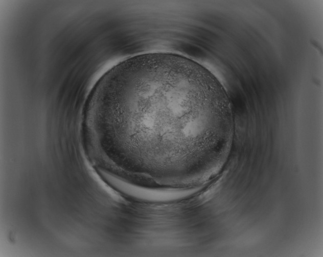 X0000095691142200801081242