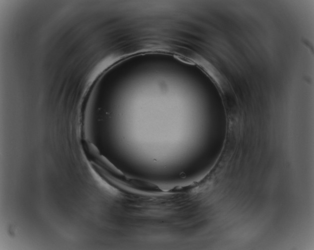 X0000095691143200801081242