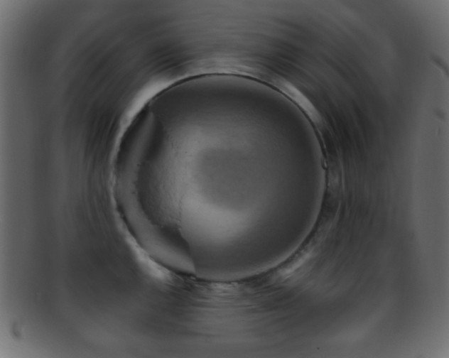 X0000095691144200801081242