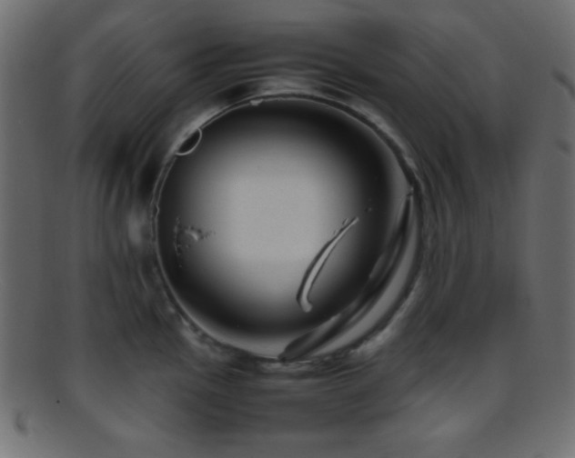 X0000095691145200801081242