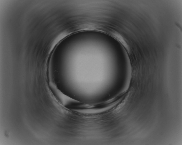 X0000095691146200801081242