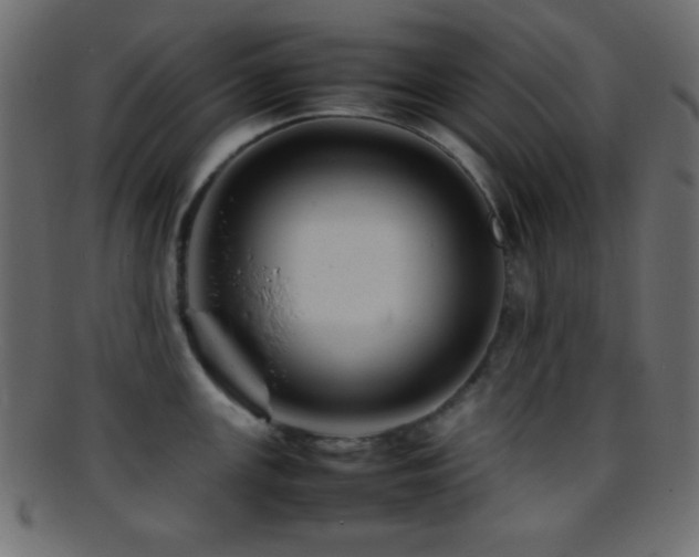 X0000095691147200801081242