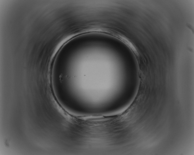 X0000095691148200801081242