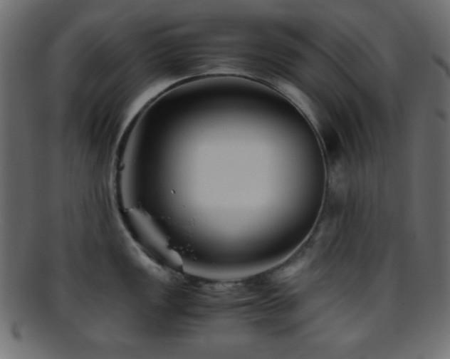 X0000095691149200801081242