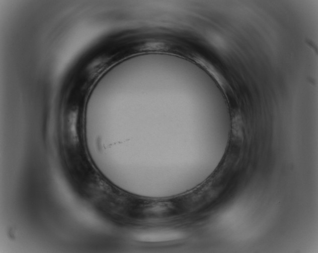 X0000095691150200801081242