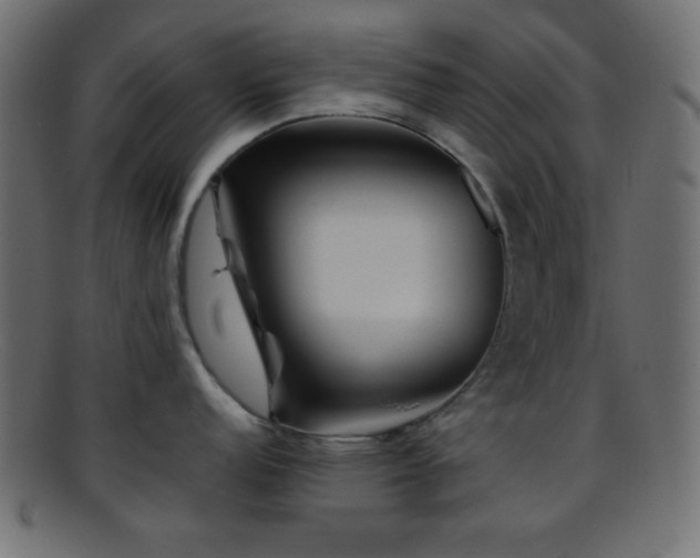 X0000095691152200801081243
