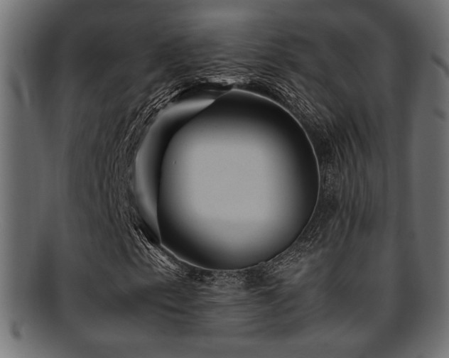 X0000095691153200801081242