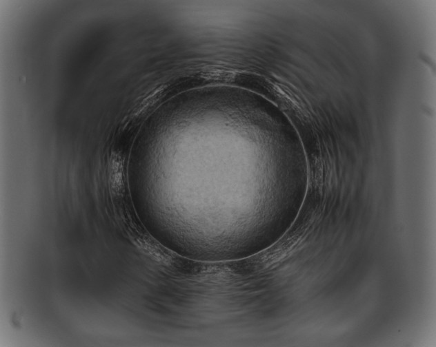 X0000095691154200801081242