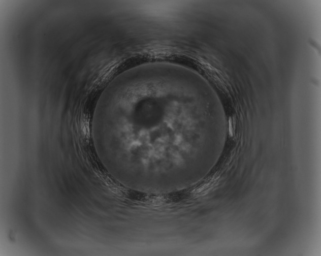 X0000095691155200801081242
