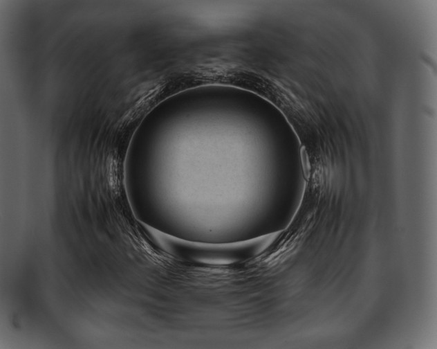 X0000095691156200801081242