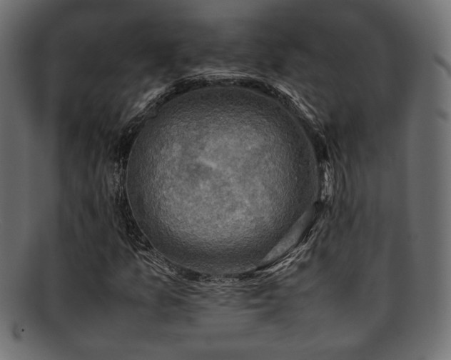 X0000095691157200801081242